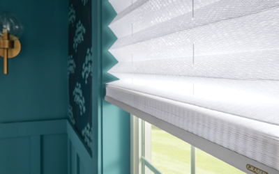 Solar Shades for Cooler South Carolina Homes